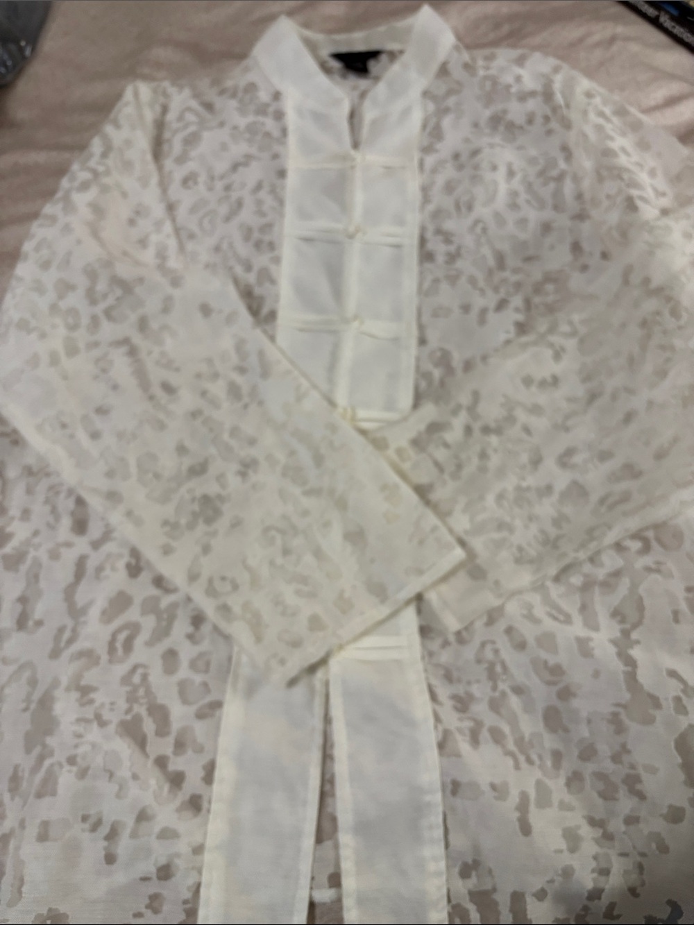 Anne Carson Sheer Linen Blend Cream Top with Mandarin Collar